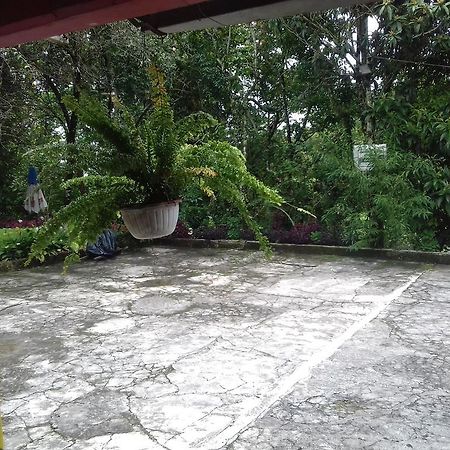 Villa Olaya Xilitla Extérieur photo