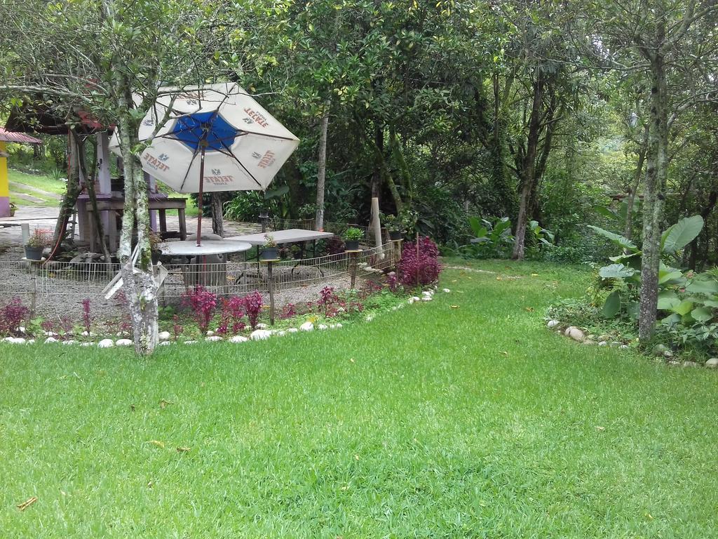 Villa Olaya Xilitla Extérieur photo